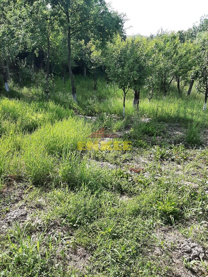Casa 3 camere + dependinte (bucatarie de vara/magazie) + teren 1400 mp, Str.Zimbrului - Poză 2