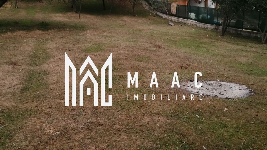 Teren Intravilan 10.000 mp | Livadă + Pădure de salcâm | Bărbătești - Poză 4