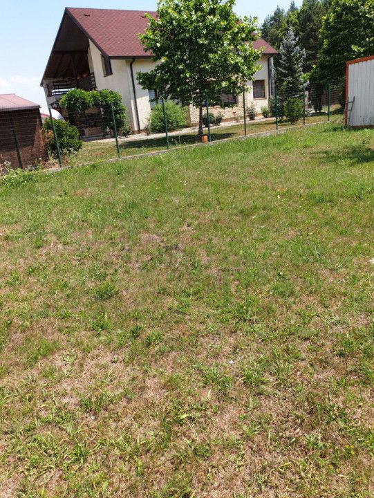 AZURA Imobiliare Pitesti - De Vanzare Teren Intravilan Gavana Plopilor - Poză 3