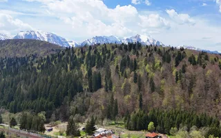 Pensiune exclusivistă Piscină încălzită în Predeal - Afacere la cheie - Poză 19