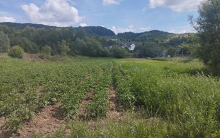 Teren 5832 mp-ideal lac, investitie, cabana, gradina-Slatinita - Poză 1