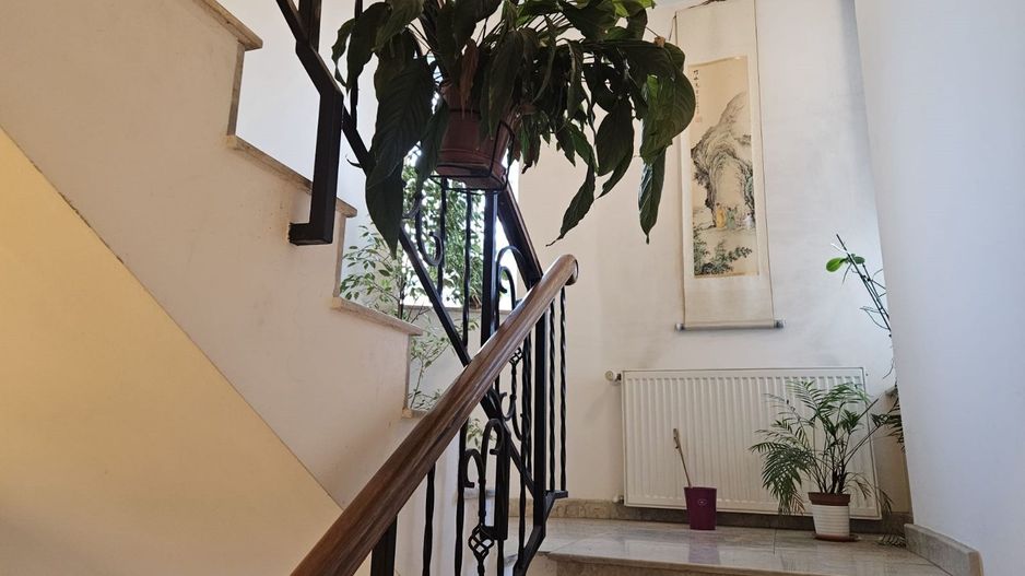 Inchiriere vila 10 camere zona Bd. Ferdinand - Poză 4