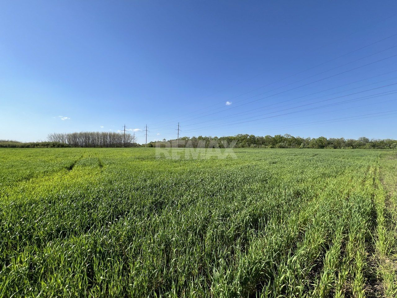 Teren agricol de 24 ari în Ghidighici – aproape de pădure, potrivit pentru investiție sau activitate agricolă - Poză 3