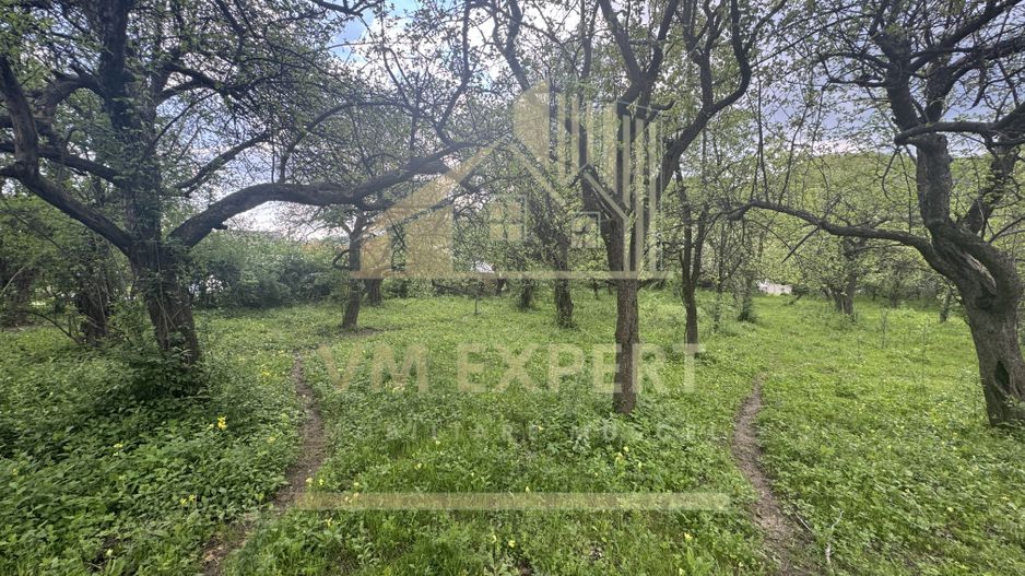 TEREN INTRAVILAN 7018 MP CAMPULUNG - Poză 22