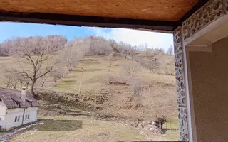 Casa si teren de 12000mp-Simon - Poză 19
