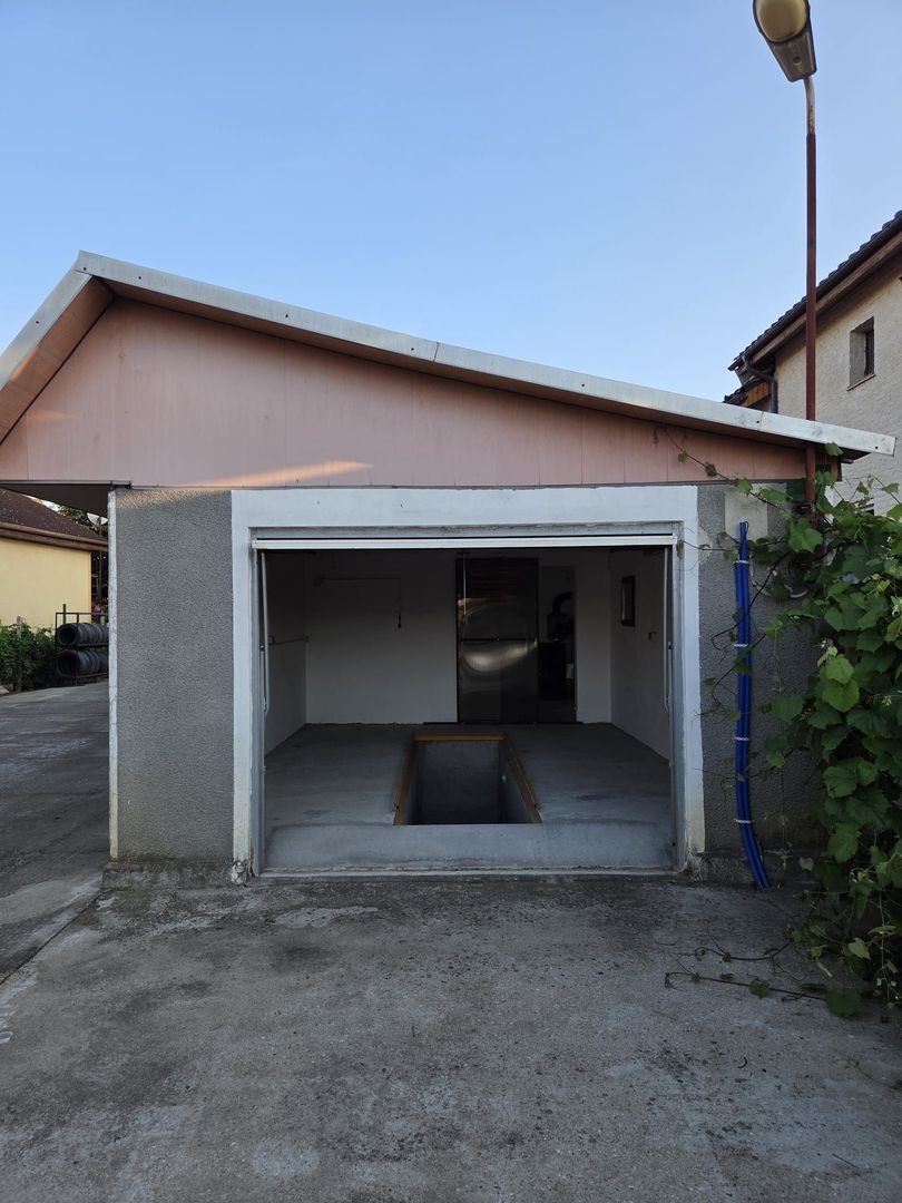 SERCICE AUTO  SI LIVADA  IN SANTANDREI - Poză 1