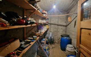 Casa cu livada in Cetea - Poză 18