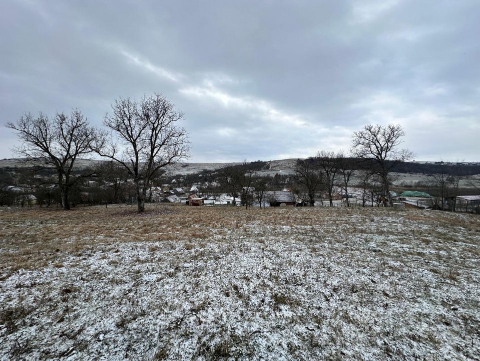 Casa individuala cu teren generos – 8.356 mp – Tichindeal, jud. Sibiu - Poză 9
