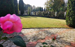 Vila cu 1.500 mp teren, gradina amenajata, linistita zonare,  Halchiu, Brasov - Poză 14