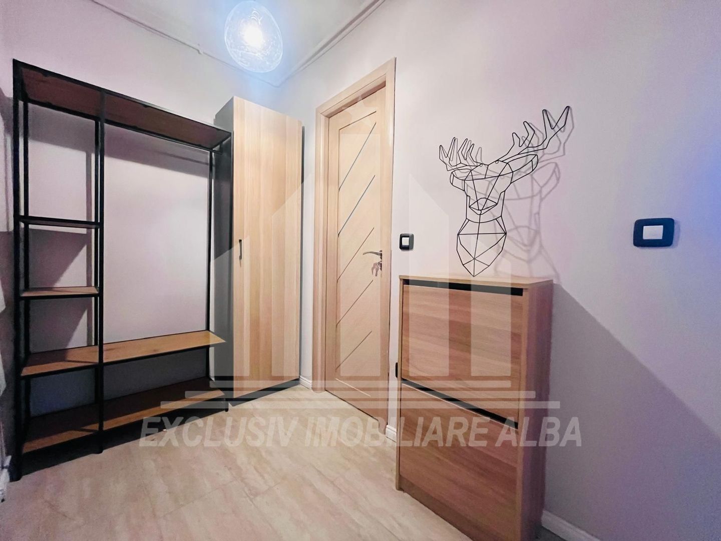 Apartament cu 1 camera, Cetate-Vanatorilor - Poză 4