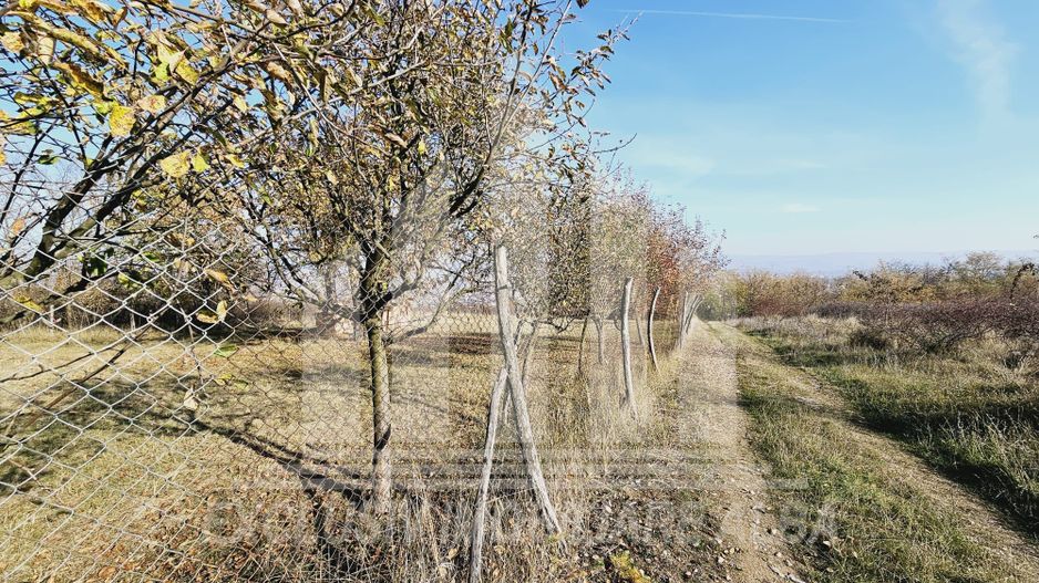 Teren intravilan de vanzare, Podei - Poză 1