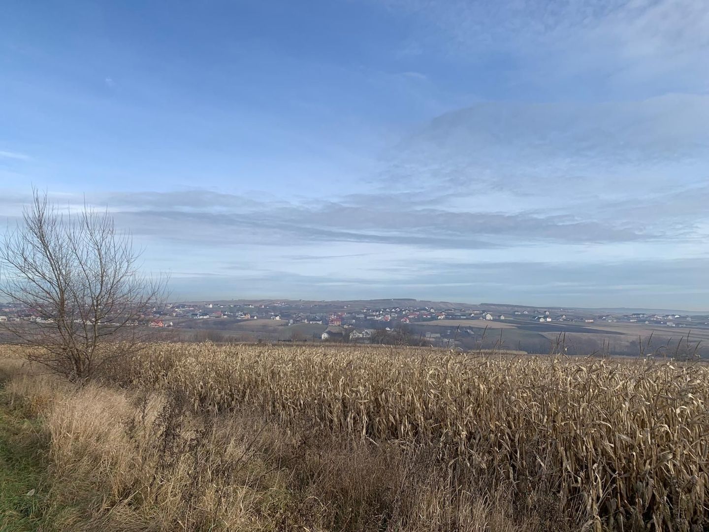 Teren intravilan de vânzare | Cajvana | 7.800 mp - Poză 9