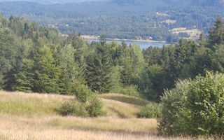 teren Colibita - 2 hectare - acces direct din drumul 173 D - Poză 2