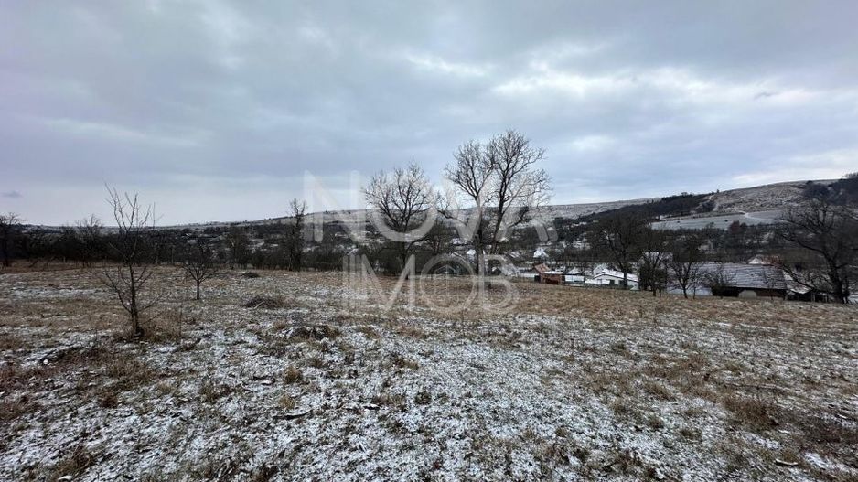 Casa individuala cu teren generos – 8.356 mp – Tichindeal, jud. Sibiu - Poză 13