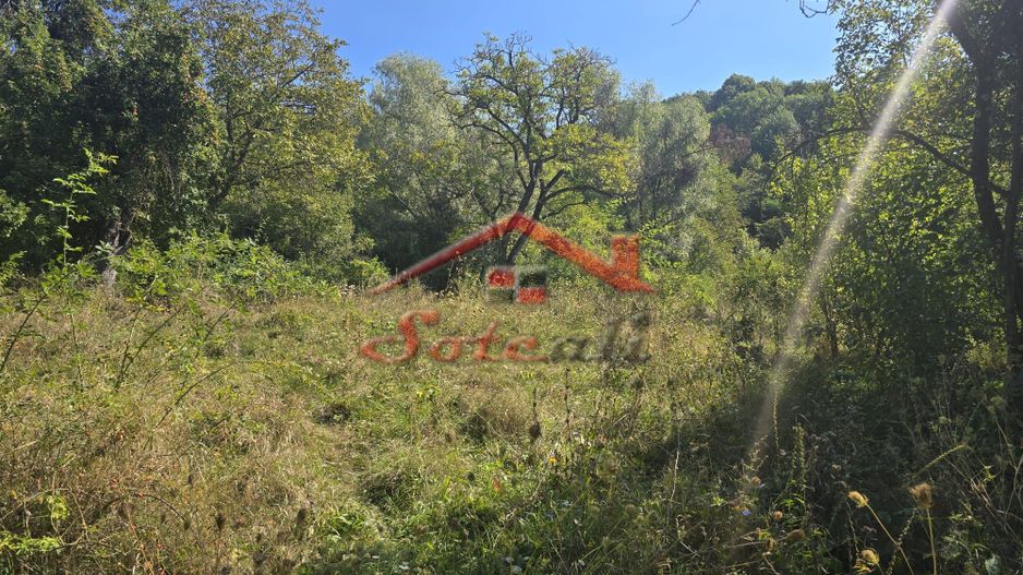 Teren intravilan de vanzare Cornu - Poză 4