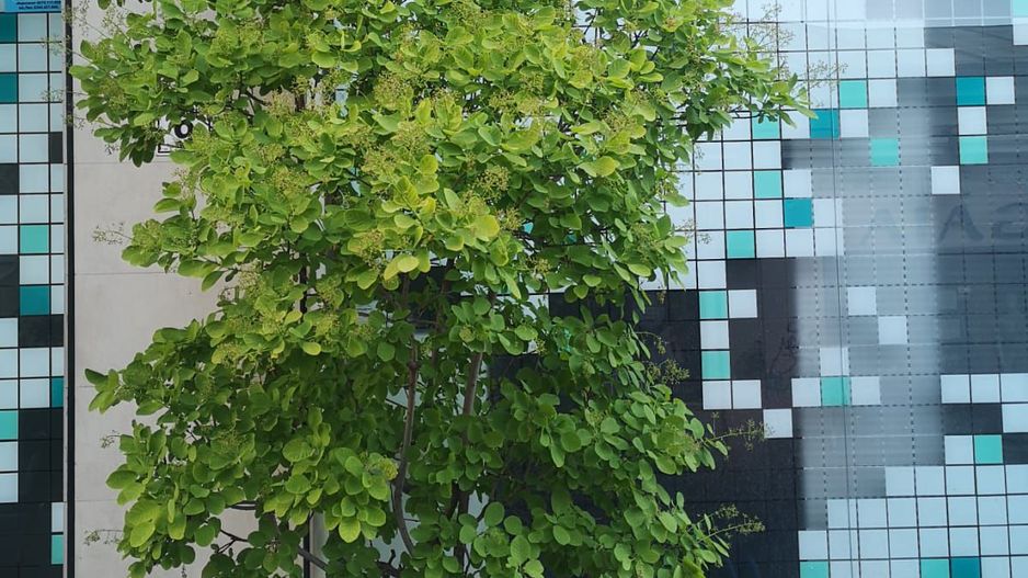 Cladire ultramoderna de birouri I 1.350mp I Ultracentral I COMISION 0% - Poză 38