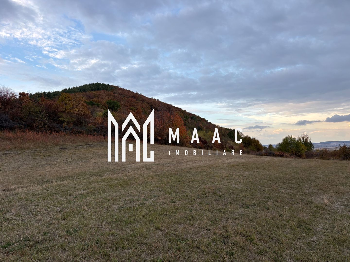 Teren de vânzare 5.000 mp | Poplaca | lângă pădure - Poză 4