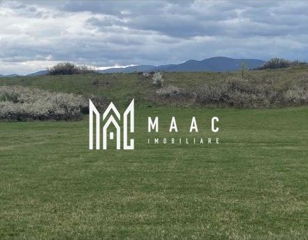 Teren extravilan | Cristian | 11.500 mp - Poză 1