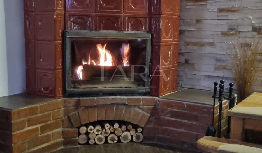 Casă Spațioasă cu Garaj și Mansardă – Gruia - Poză 1