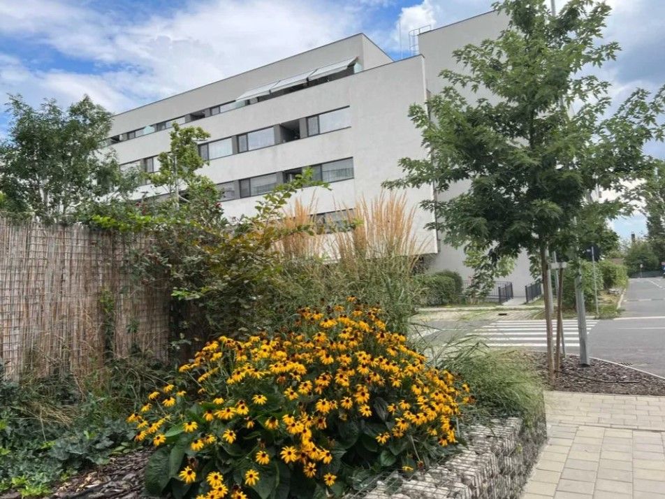 Apartament 3 camere Sectorul 1 - Lângă Lacul Străulești - Poză 18
