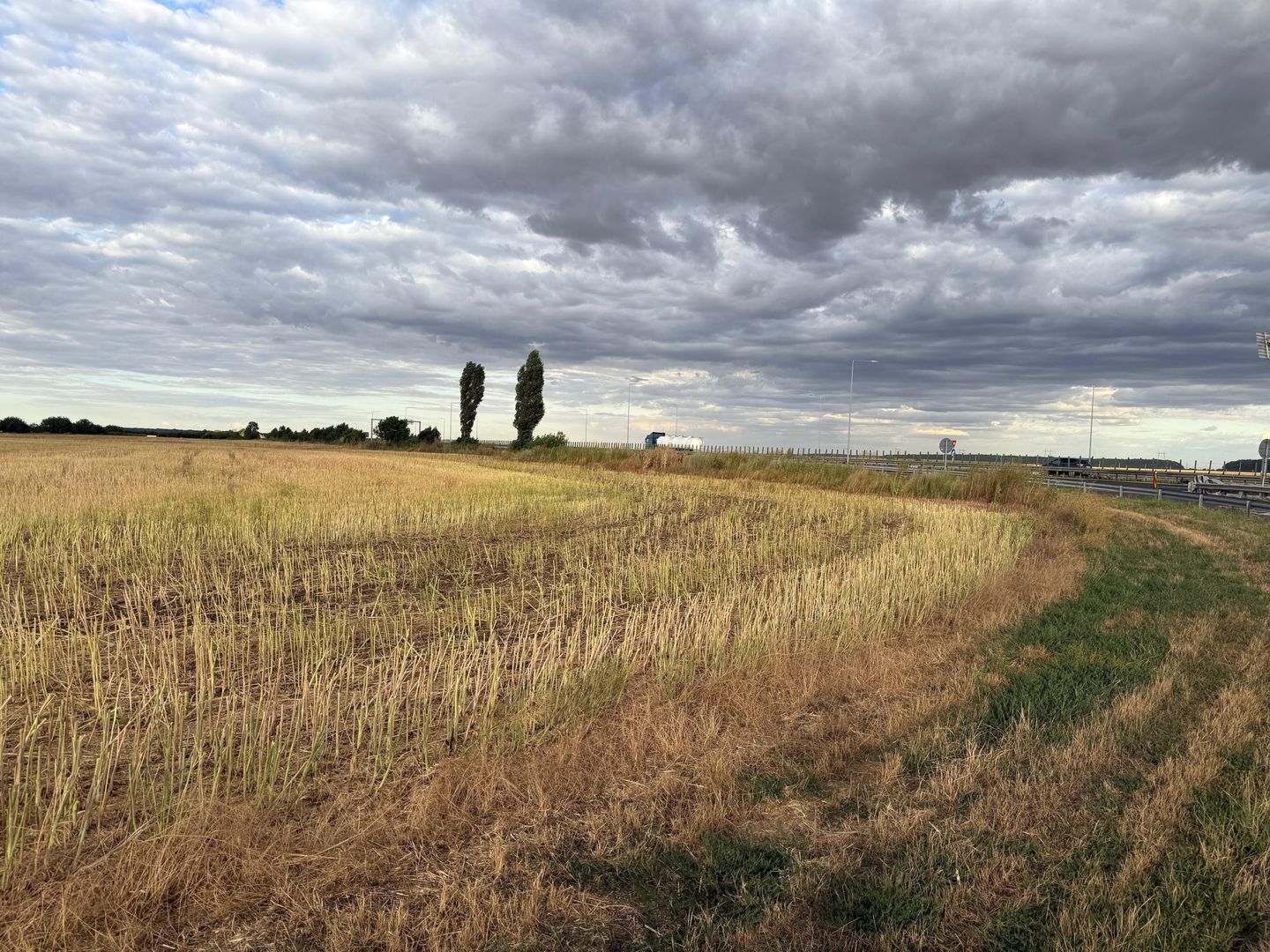 Teren intravilan Branesti - Poză 5