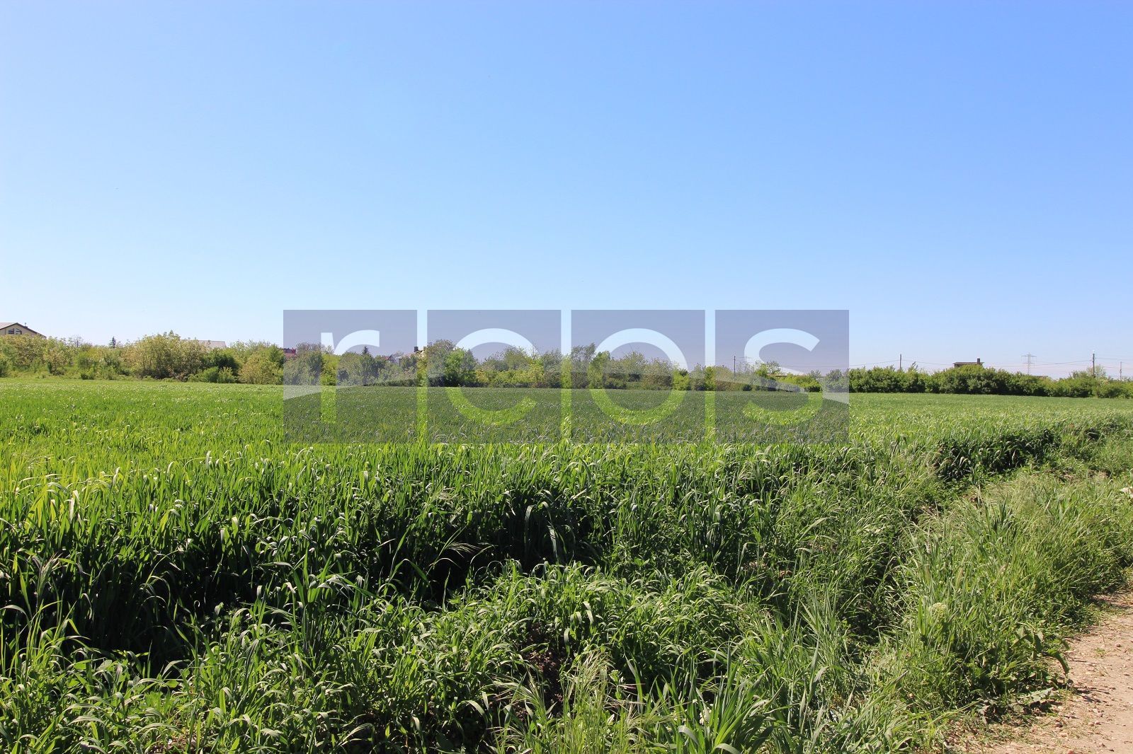 Teren 32000 mp Racari deschidere 82 mp - Poză 9