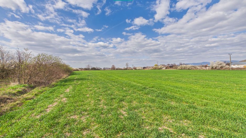 Teren extravilan, 1 ha, în orașul Sebiș, Arad - Poză 9