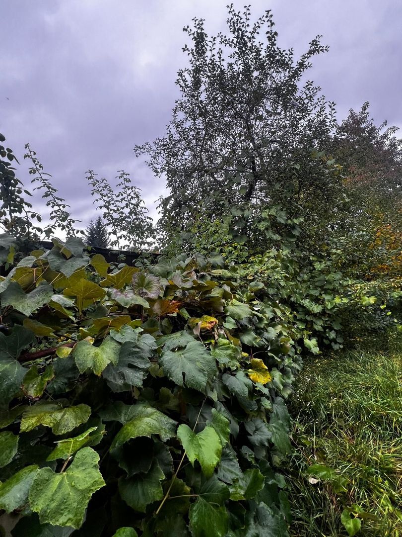 Casă complet renovată, pentru locuință sau pensiune turistică! - Poză 22