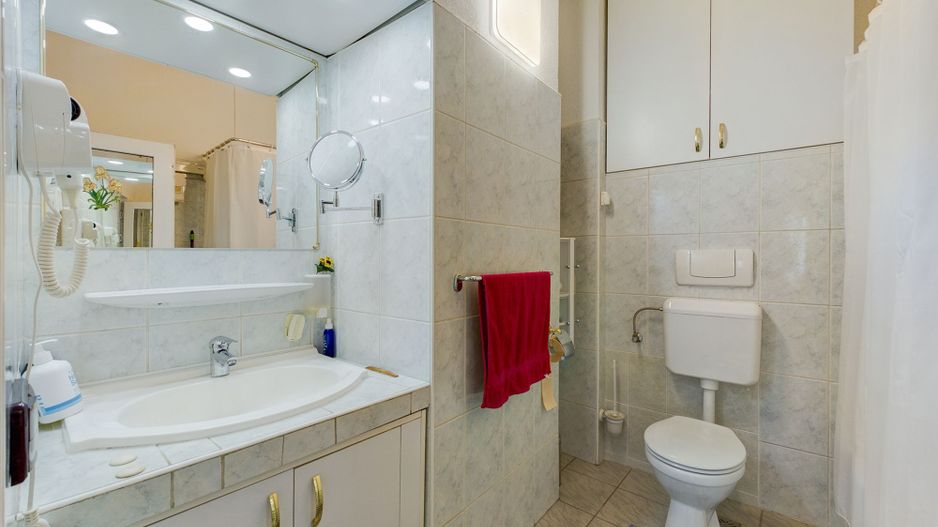 Spațiu comercial, hală și apartamente Aradul Nou - Poză 9