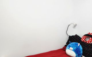 Apartament 2 camere, etajul 1, Aleea Steaza - Poză 2