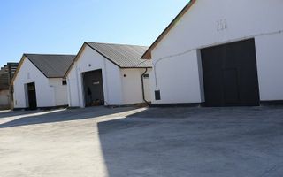 Inchiriem Hale Industriale / locuri de depozitare /birouri - Poză 7