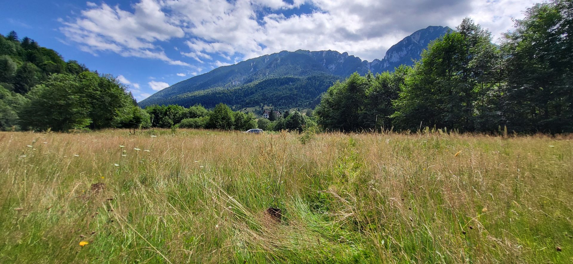 Plaiul Foii, teren pretabil casă de vacanță, pensiune, comision 0% - Poză 8