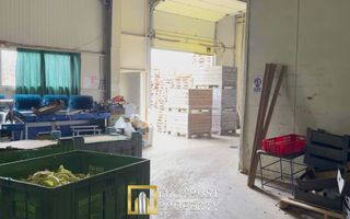 Hala industrială de vanzare Arad 540 mp, depozitare la rece, acces TIR - Poză 4