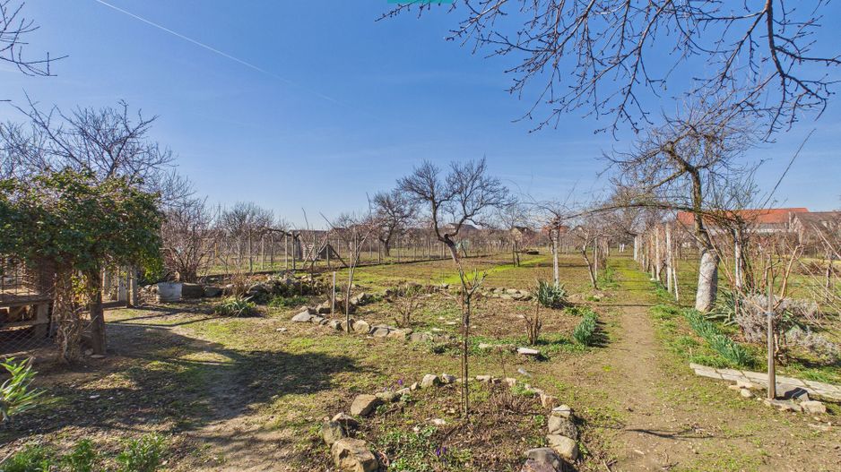 Casă cu 6 camere pe teren de 2029 mp – Miniş - Poză 22