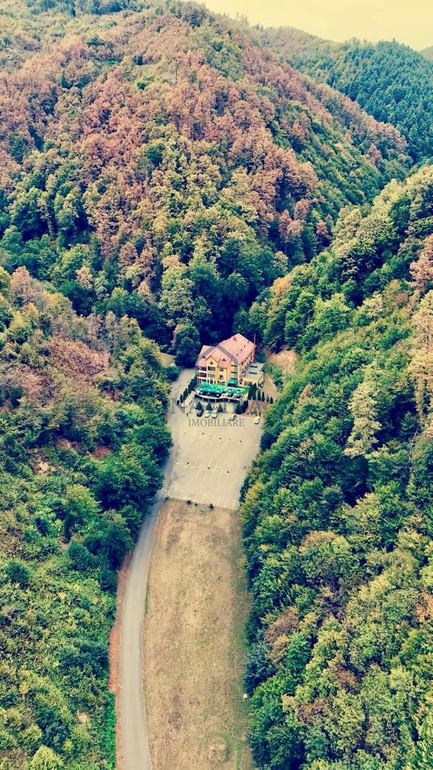 Pensiune Baia Mare - Poză 11