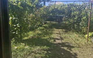 Proprietate cu destinație gospodărească, Izvoarele, comuna Răchiteni, Iași - Poză 3