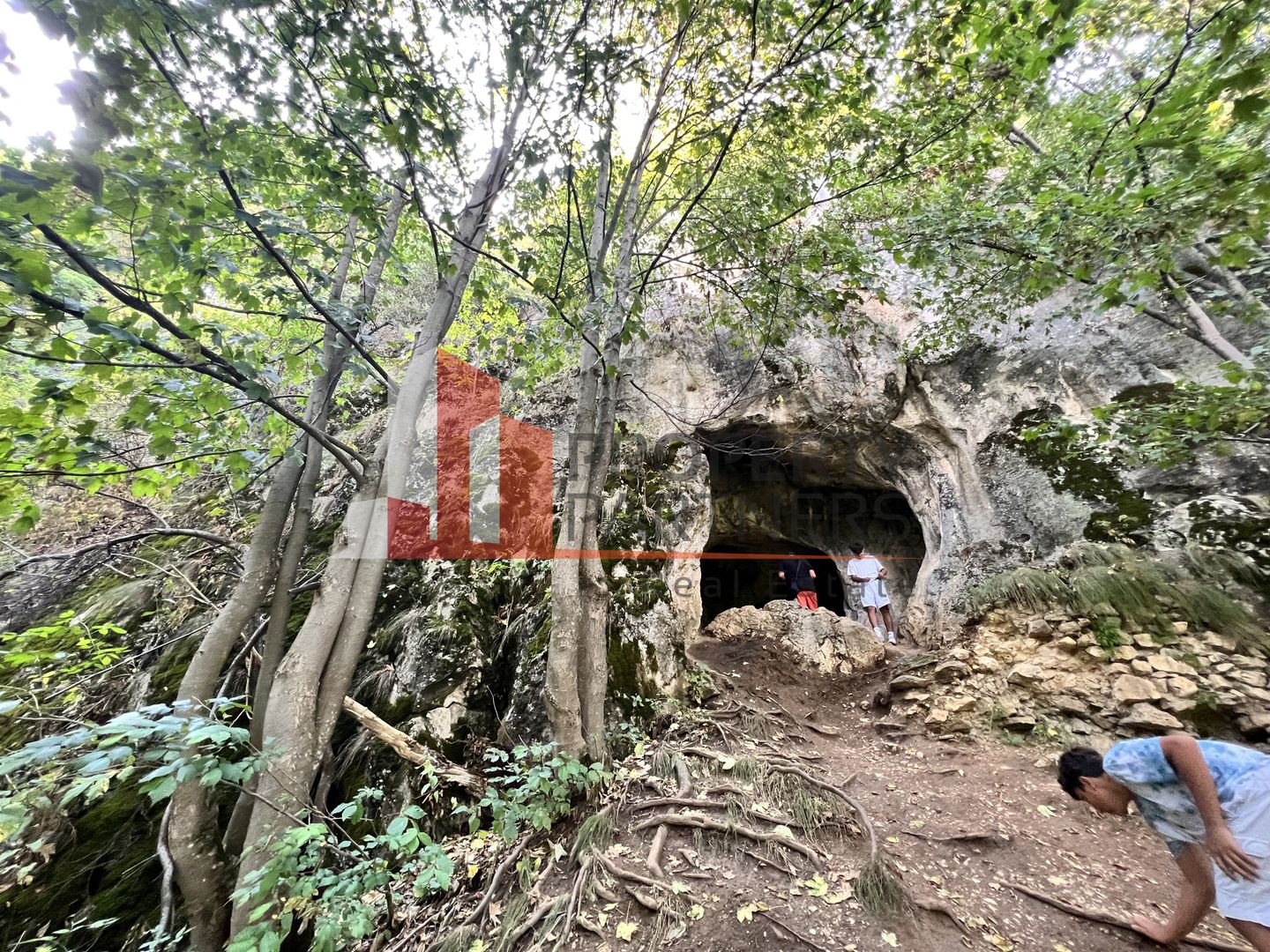 Teren de vânzare langa  Peștera Liliecilor  in Sat Pestera - Poză 4