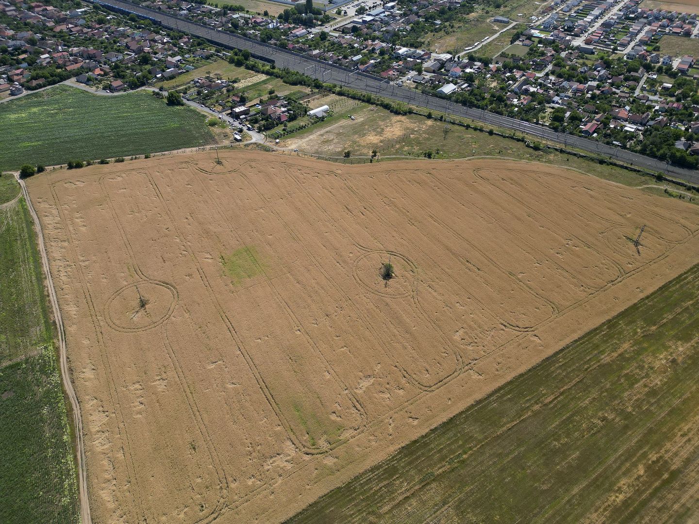 Tern intrevilan 4003 mp - Poză 14