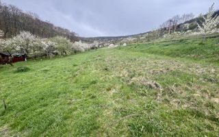 Teren intravilan Deva- Roci - Poză 6