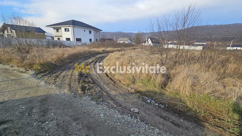 Teren 1.250 mp, toate utilitatile – Bascov, Valea Ursului, AG - Poză 4