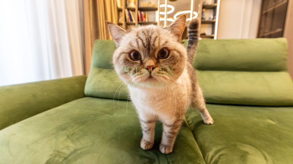 Apartament 2 camere de lux One Verdi Park complet mobilat loc parcare inclus - Poză 24