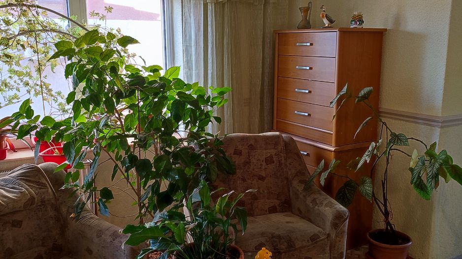 VANZARE SPECIALA Casă / Vilă cu 7 camere, Uverturii MILITARI/Duplex - Poză 17