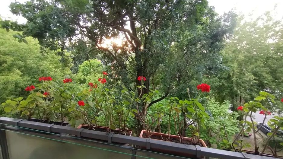 Apartament 3 camere | Zona Cloșca Careiului, Satu Mare - Poză 6