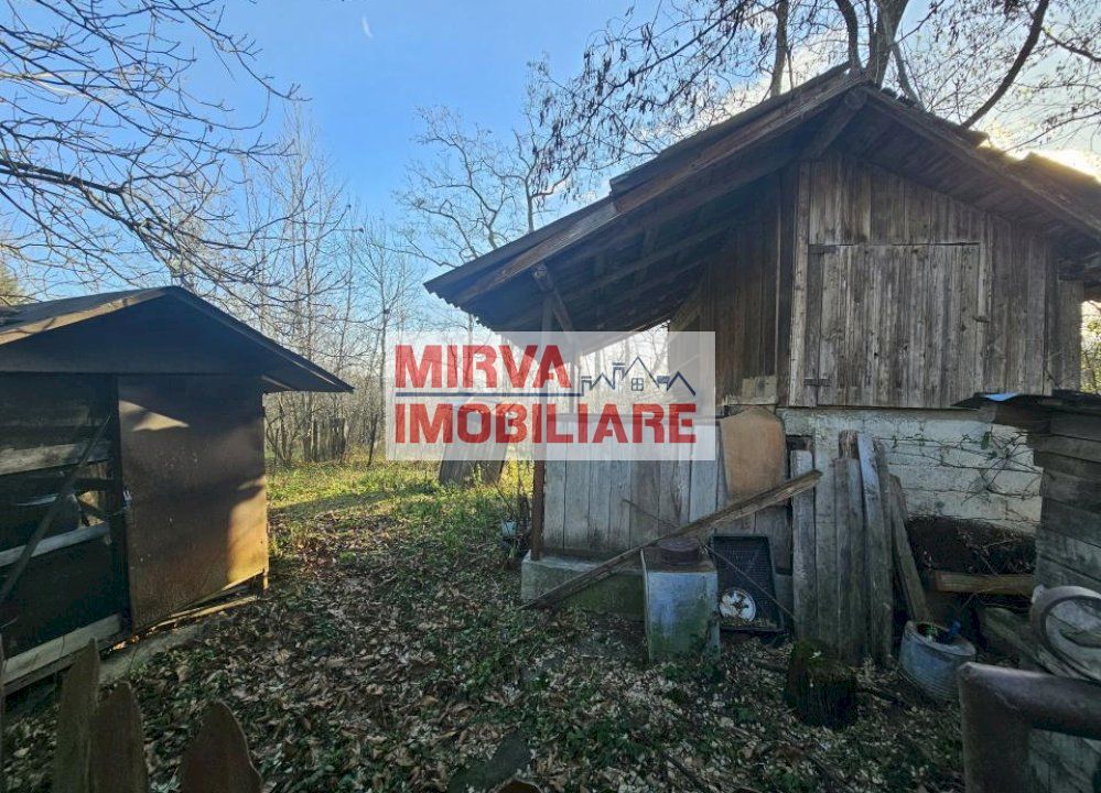 Vanzare casa plus anexa, teren 3843 mp, in Sat Pietriceaua - Poză 11