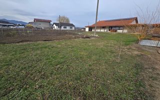 Casa Individuala 4 Camere, 1750mp Teren, Zona Sard - Poză 16