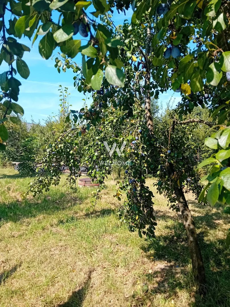 974 mp de vis, între pădure și cer - Teren intravilan, Cisnadioara, Sibiu - Poză 8