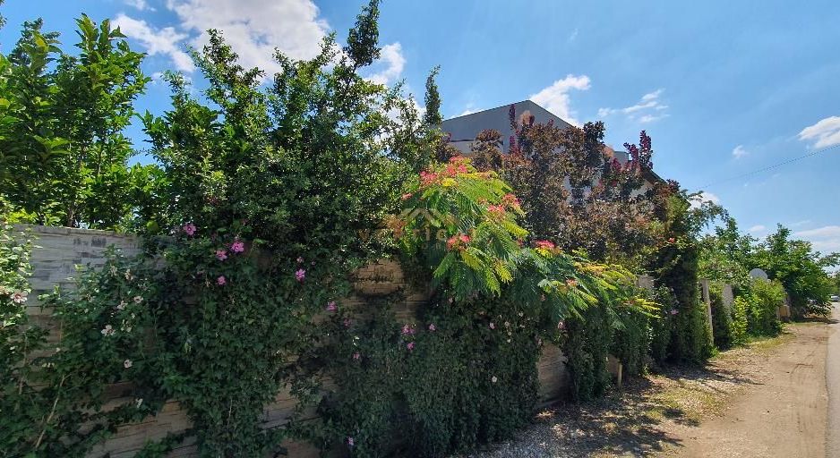 Cea mai buna locatie! Comuna Berceni - Poză 9