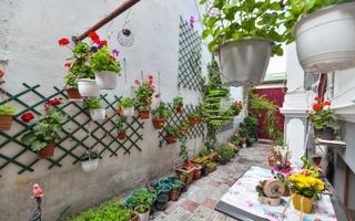 Casa individuală | Strada Plantelor | Curte proprie - Poză 3