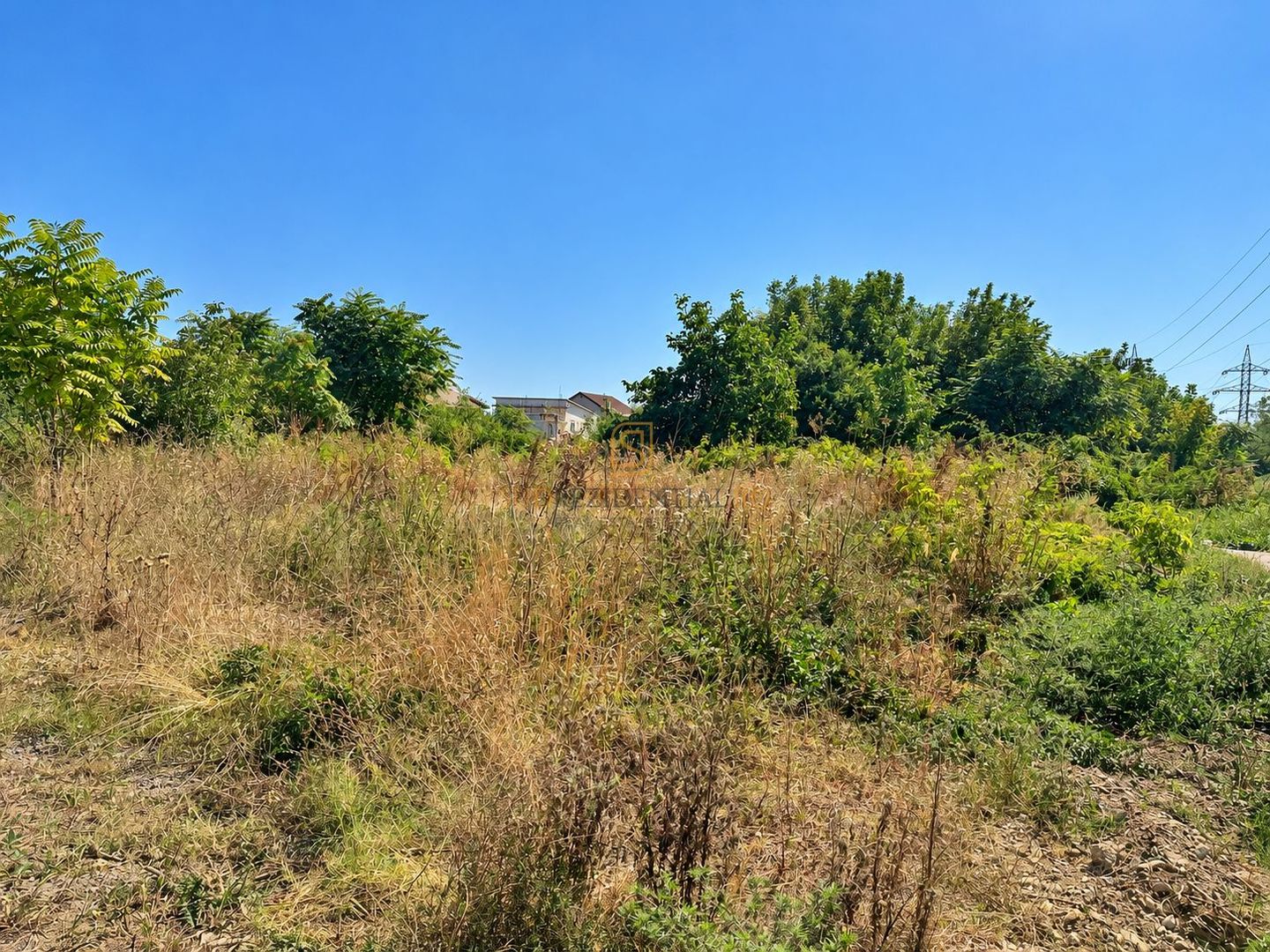 Teren 3.658 mp, deschidere la trei drumuri | Drumul Pogoanele - Poză 3