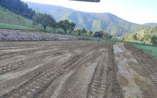 Teren Intravilan | 1053MP | Râu Sadului - Poză 7